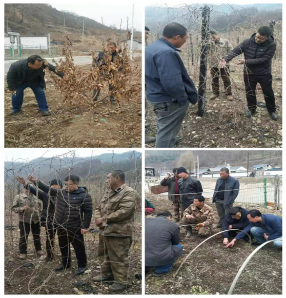 备春耕农技专家服务忙(图1)